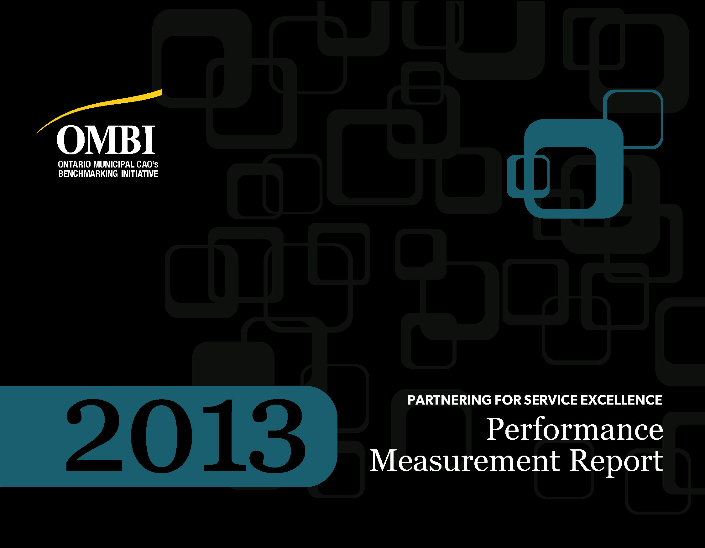 2013 Performance Measurement Report 